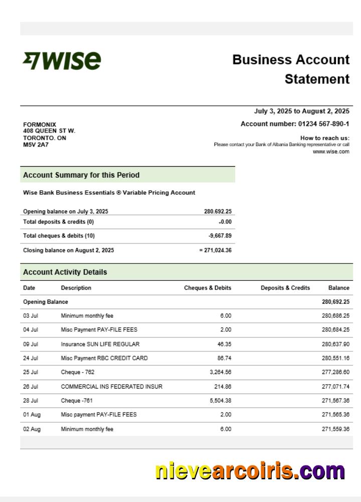 Wise company checking account statement